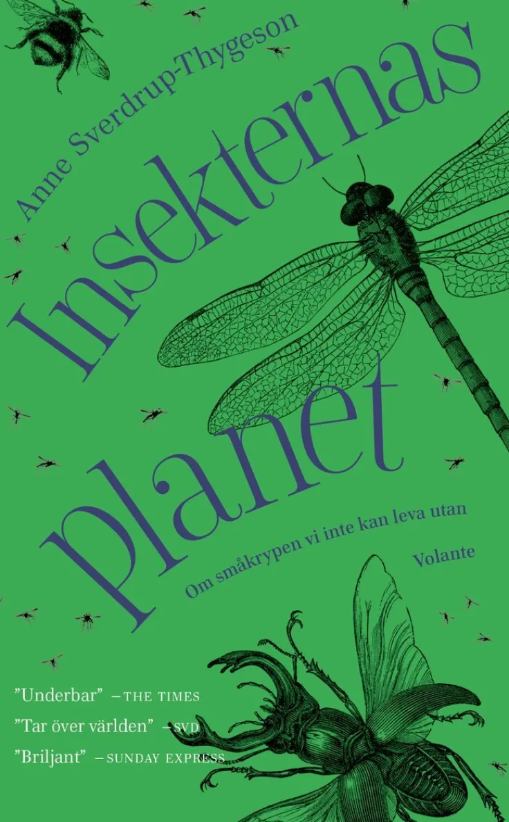 Insekternas planet