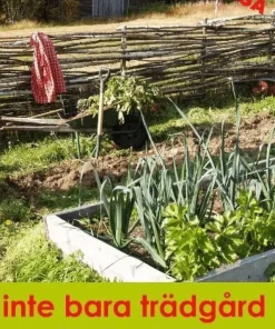 Inte bara trädgård: 55 krönikor om hortikultur