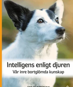 Intelligens enligt djuren : vår inre bortglömda kunskap
