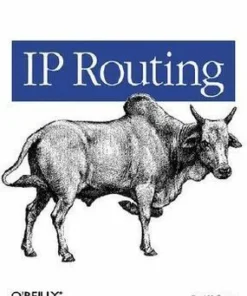 IP Routing
