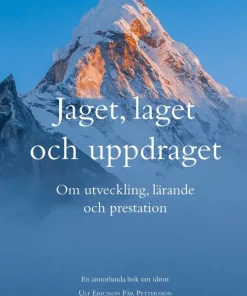 Jaget, laget och uppdraget : Om utveckling, lärande och prestation