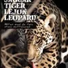 Jaguar, tiger, lejon, leopard : möten med de fyra stora kattdjuren