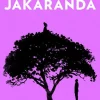 Jakaranda