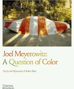 Joel Meyerowitz: A Question of Color