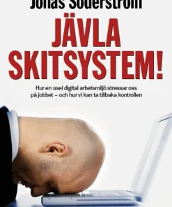 Jävla skitsystem! : hur en usel digital arbetsmiljö stressar oss på jobbet - och hur vi kan ta tillbaka kontrollen