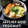 Jävligt god vegomat!