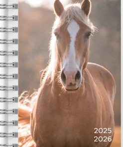 Kalender 2025-2026 Compact Pets