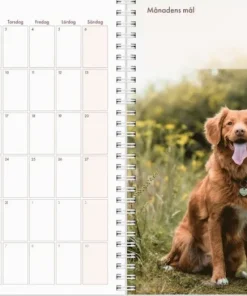 Kalender 2025 Hundkalendern