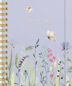 Kalender 2025-2026 Senator A6 Story Äng