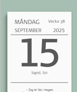 Kalender 2025 Väggplån med dagblock Humor