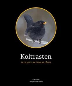 Koltrasten : Sveriges Nationalfågel