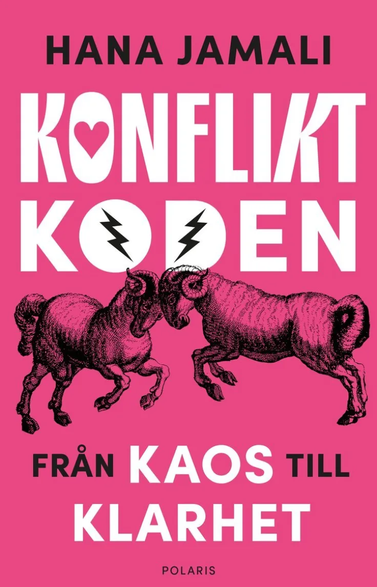 Konfliktkoden : från kaos till klarhet