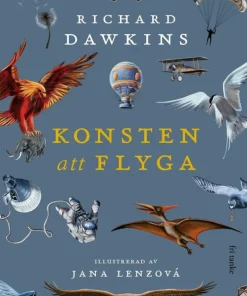 Konsten att flyga