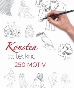 Konsten att teckna : 250 motiv