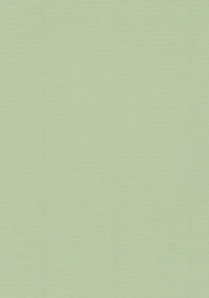 Kort A6 enkla 10-pack lime