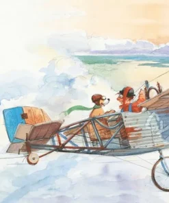 Kort Mulle Meck bygger flygplan