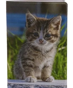 Kortfodral Plånka Kattungar