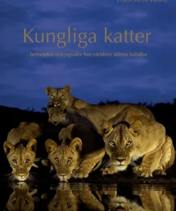 Kungliga katter : beteenden och signaler hos världens största kattdjur