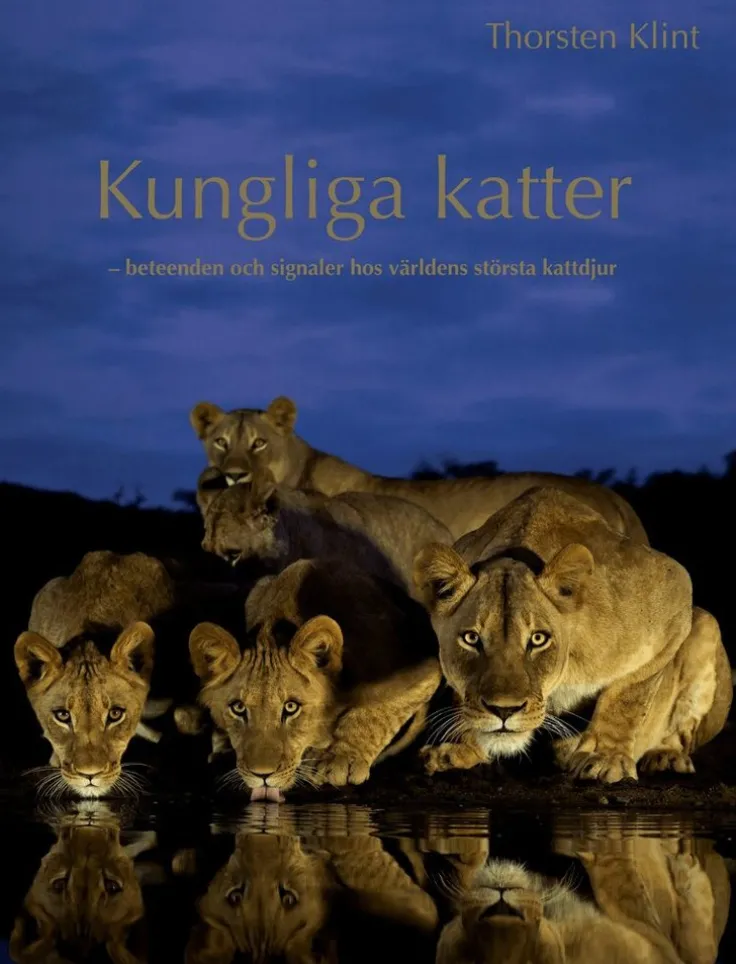 Kungliga katter : beteenden och signaler hos världens största kattdjur