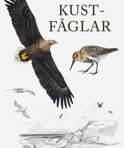 Kustfåglar