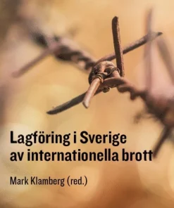 Lagföring i Sverige av internationella brott