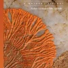 Lives of Lichens
