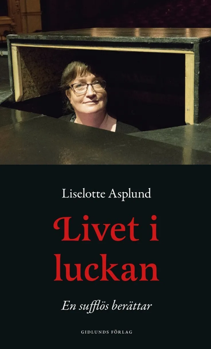 Livet i luckan : en sufflös berättar