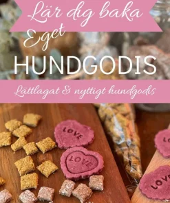 Lär dig baka eget hundgodis : lättlagat & nyttigt hundgodis