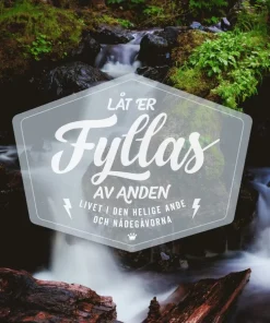 Låt er fyllas av Anden : livet i den helige ande och nådegåvorna