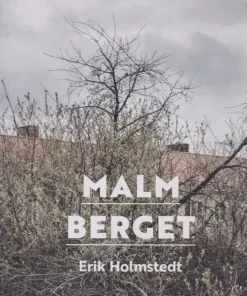 Malmberget