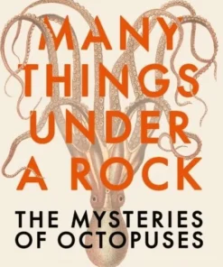 Many Things Under a Rock