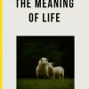 Meaning of Life