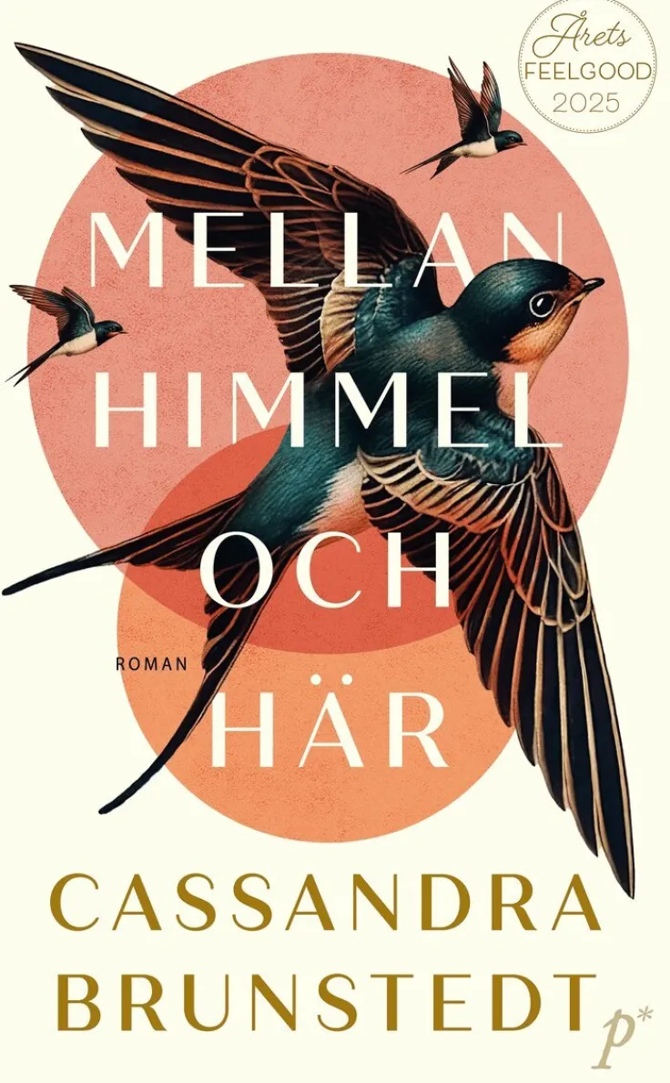 Mellan himmel och här