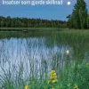 Miljöhistoria : insatser som gjorde skillnad