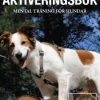 Min bästa aktiveringsbok - Mental träning för hundar