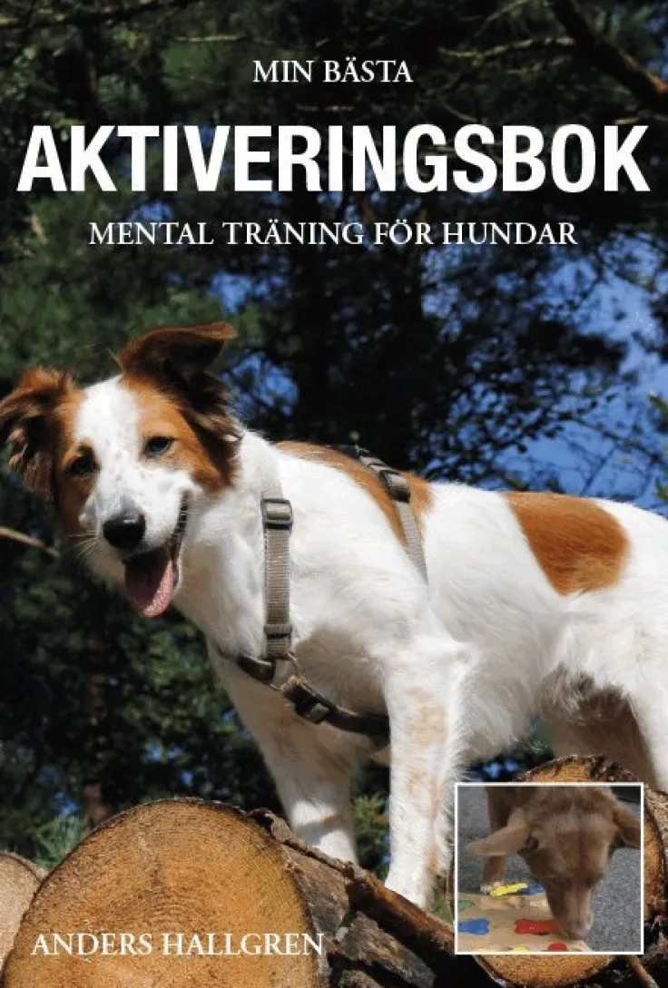 Min bästa aktiveringsbok - Mental träning för hundar