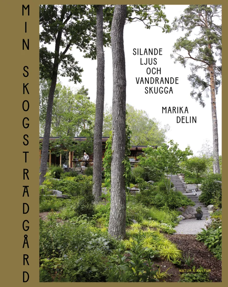 Min skogsträdgård : silande ljus och vandrande skugga