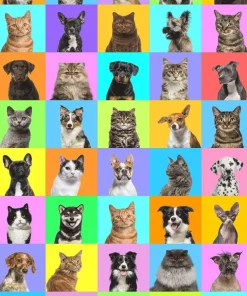 Minipussel 150 bitar Hund och Katt