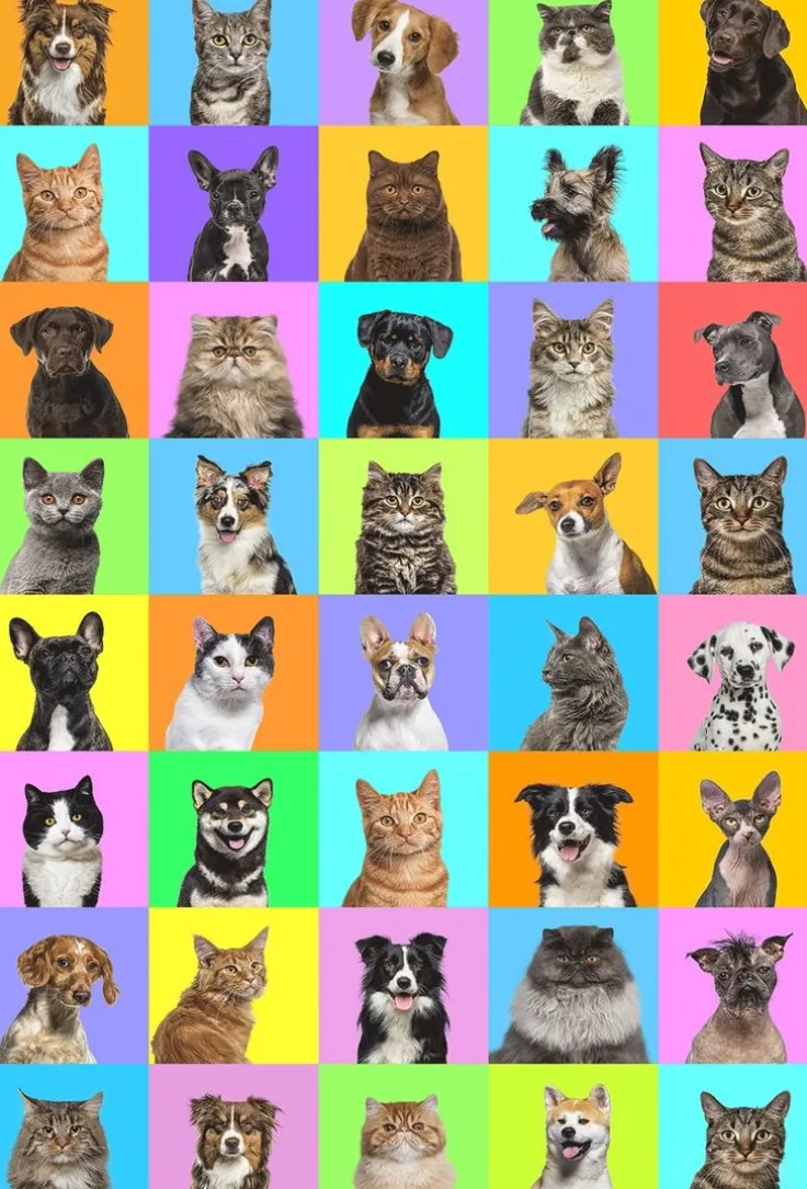 Minipussel 150 bitar Hund och Katt