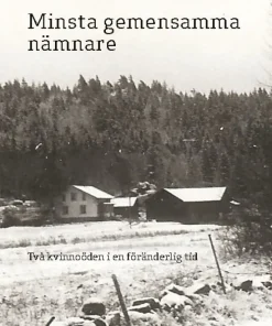 Minsta gemensamma nämnare : två kvinnoöden i en föränderlig tid