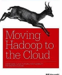 Moving Hadoop in the Cloud
