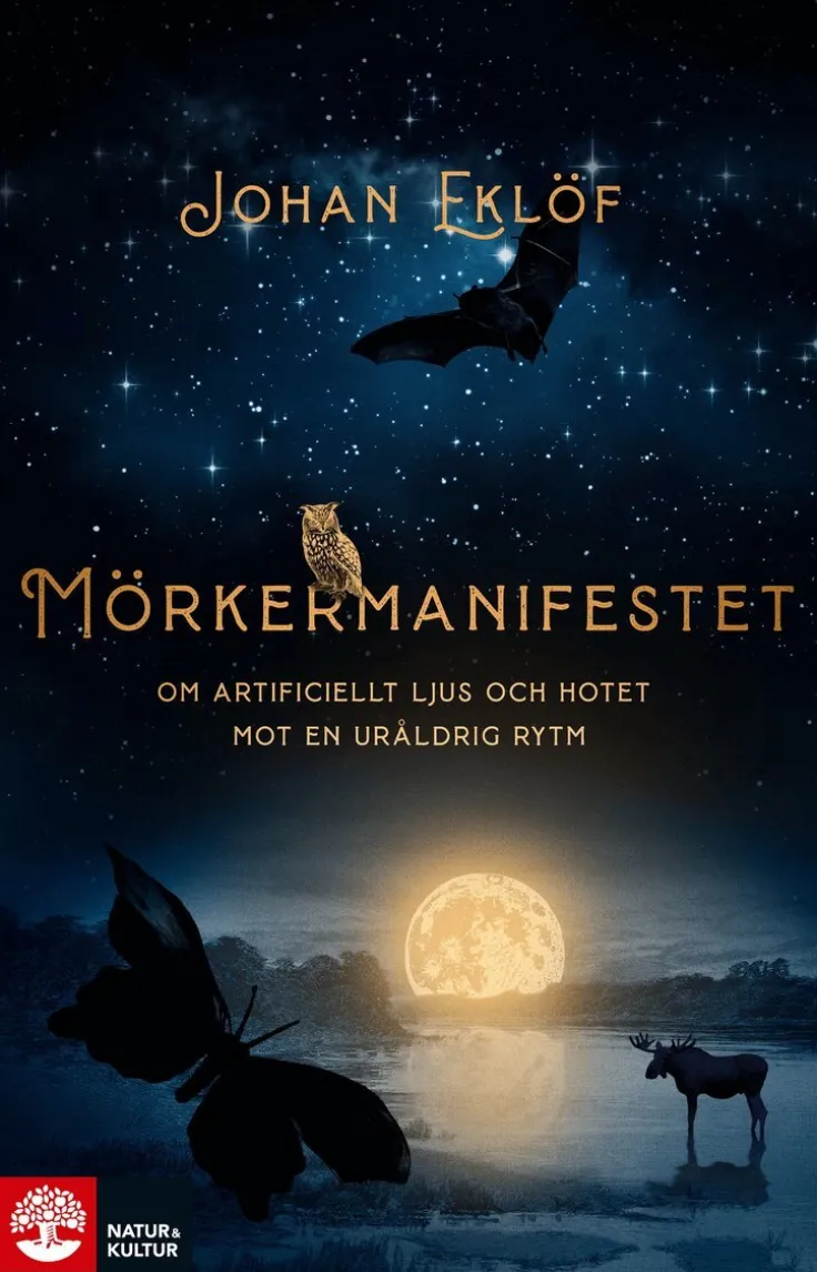 Mörkermanifestet : om artificiellt ljus och hotet mot en ursprunglig rytm