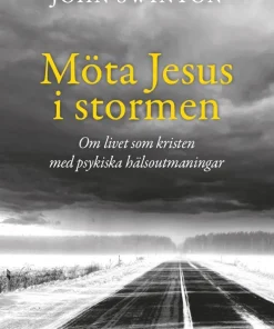 Möta Jesus i stormen : om livet som kristen med psykiska hälsoutmaningar
