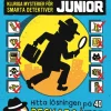 Murdle junior : Kluriga mysterier för smarta detektiver