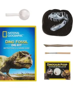 National Geographic Dino Fossil Dig Kit