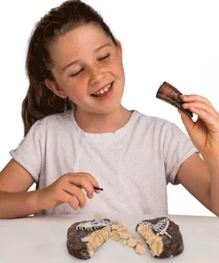 National Geographic Dino Fossil Dig Kit