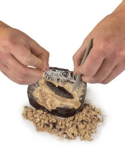 National Geographic Dino Fossil Dig Kit