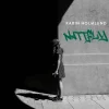Nattfly