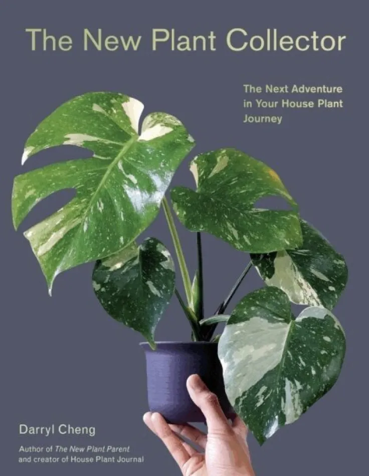 New Plant Collector