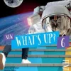 New What's Up? 6 Textbook
